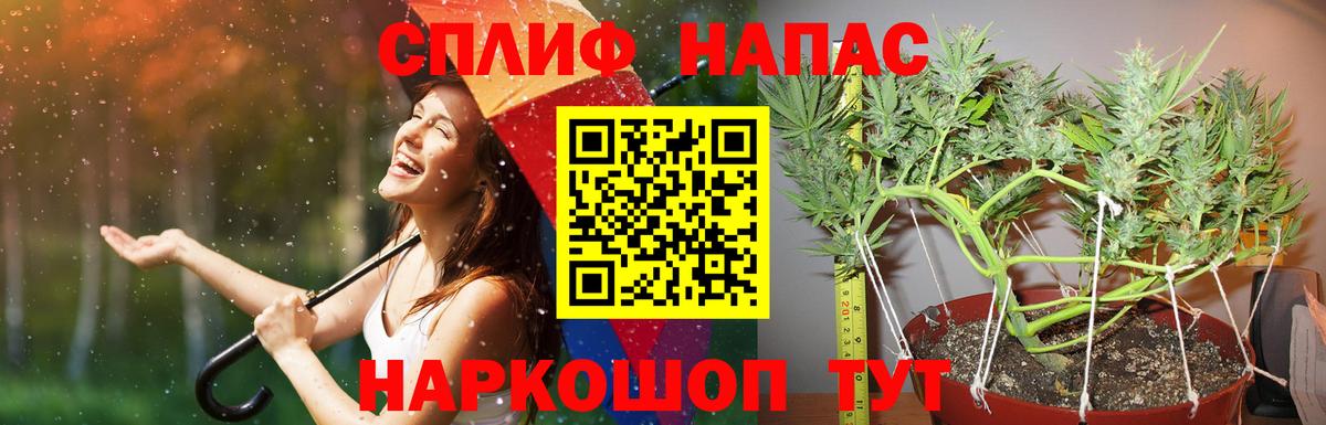 Бошки марихуана индика  Конопля план  Сегежа  Каннабис сатива  Вход с VPN 